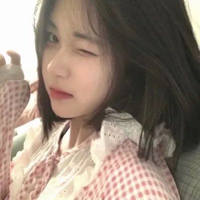 燕子与鹦鹉