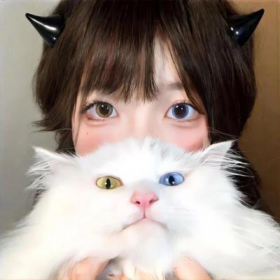 回忆积木小屋